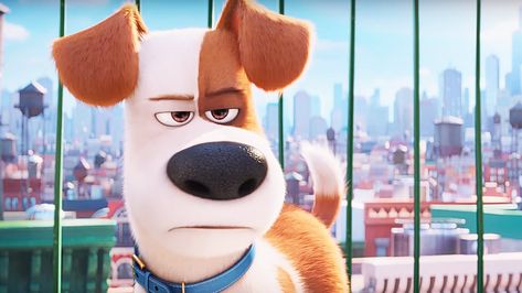 The Secret Life of Pets: The Best Family Movie of the Year | We ... Pets Movie, Dog Wheelchair, Movie Snacks, Secret Life Of Pets, Kids' Movies, Pets 3, Cartoon Profile Pictures, Family Movies, Animal Jokes