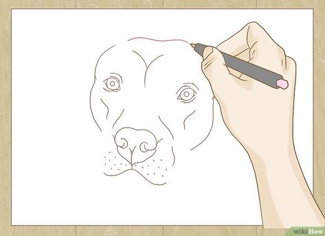 Pit Bull Drawing, Pitbull Drawing, Dog Drawing Tutorial, Pitbull Art, Pitbull Pictures, Draw Two, Watercolor Paintings For Beginners, Pitbull Puppy, Watercolor Paintings Tutorials