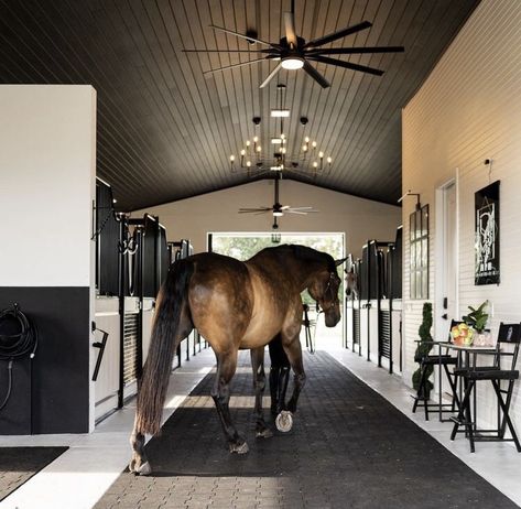 Stable Life Aesthetic, Luxury Equestrian Aesthetic, Equestrian Estate Luxury, Modern Stables Horses, Horse Barn Aesthetic, Modern Horse Stable, Modern Horse Ranch, Horse Stable Aesthetic, Modern Horse Barn