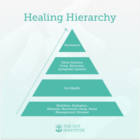 Discover the incredible interconnectedness of our bodies! From hormones to our detox systems (like the liver and lymphatic system), from gut health to the power of proper nutrition, hydration, minerals, movement, sleep, stress management, and mindset. 🌟 These vital elements work together, forming a hierarchy that supports our overall well-being. 🌈  How do you prioritize these aspects of your health? 💭 Let's share and learn from each other! 🌍💚 #HealingJourney #HolisticHealth #WellnessWisdom Hormone Hierarchy, Holistic Development Poster, Holistic Health Pillars, Holistic Health Infographic, Gut Health Infographic, Women’s Hormone Phases, Proper Nutrition, Healing Journey, Gut Health