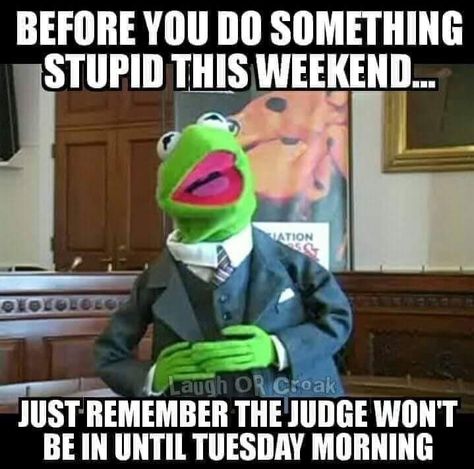 Weekend Memes Funny, Labor Day Meme, Labour Day Wishes, Labor Day Quotes, Happy Memorial Day Weekend, Kermit Funny, Labor Day Holiday, Weekend Quotes, Meme Page