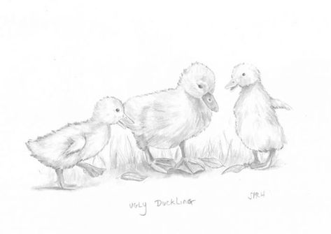 Three Ducklings Tattoo, Duck Family Drawing, Swan Drawings, Duckling Drawing, Ducky Bathroom, Swan Drawing, Nature Drawings, The Ugly Duckling, Duck Drawing