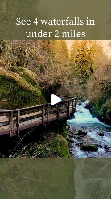 Travel The Us, Florence Oregon, Visit Oregon, Oregon Hikes, Future Planning, Oregon Waterfalls, Dream Trips, Travel Inspiration Destinations, Life List