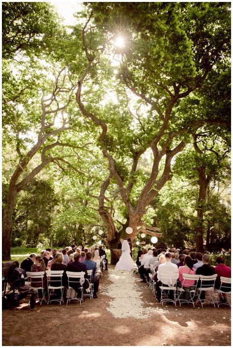 Wedding Ceremony Under Huge Tree/ Forest Wedding Ceremony: View full wedding here: http://www.shireenlouw.com/2012/11/erane-ivan-beloftebos-wedding/ Cape Town Wedding Venues, Wedding Aisle Candles, Wedding Church Aisle, Candle Light Wedding, Wedding Aisles, Forest Wedding Ceremony, Wine Farm, Camping Wedding, Wedding Isles