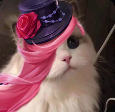 𝑴𝒍𝒃𝒃 𝒄𝒂𝒕 Mlbb Cat Pfp, Anime Photo Profile, Mlbb Cat Icon, Mlbb Lesley, Mlbb Funny, Lesley Mlbb, Mlbb Pfp, Mlbb Hero, Legend Cat