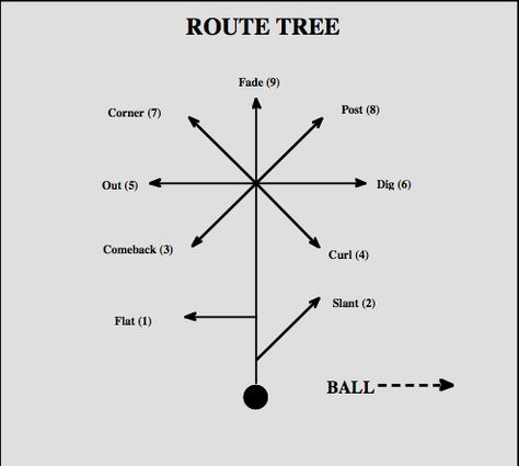 NFL route tree- Flat, Slant, Comeback, Curl, Out, Dig, Corner, Post, Fade Routes.    Outside of the 3-step game (Slant, Flat) every route breaks at a depth of 12-15 yards.  Important to know when the WR breaks. WR stutter his feet at a depth of 8-yards, expect him to get vertical up the field-because there isn't a route that breaks at 8-yards.  Important detail:  WR doesn’t break his route between a depth of 12-15 yards, defender better open hips and run; he is running straight down the field. Soccer Humor, Football Techniques, Flag Football Plays, Football Humor, Minion Funny, Football 101, Fantasy Football Humor, Football Rules, Wallpapers Funny