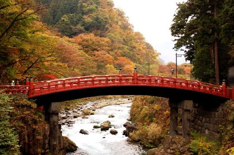 Are you looking forward to visiting Nikko this autumn? You need at least two full-days to experience its stunning fall foliage and awe-inspiring historic structures. The area can be divided into two parts: Central Nikko (main town), and Okunikko... Japan Autumn, Day Trips From Tokyo, Japan Itinerary, Tokyo Skytree, About World, Dream Places, Japan Trip, Visit Japan, Nikko