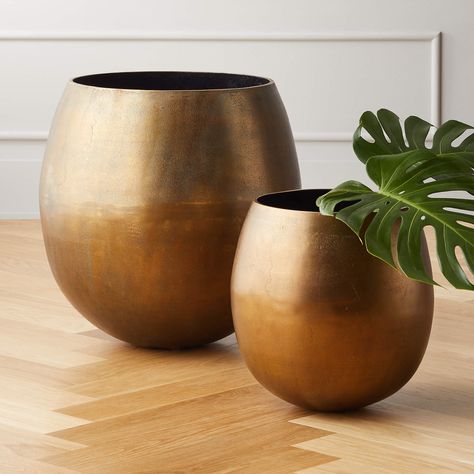 Planter pots outdoor