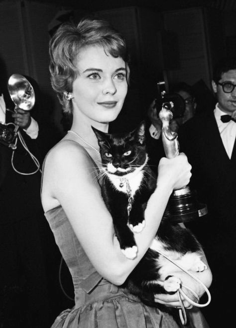 Jean Seberg with her cat, in Cortina d’Ampezzo, Italy, late 1960s. Jean Seberg, White Photo, A Cat, A Black, A Woman, Italy, Black And White, White, Black