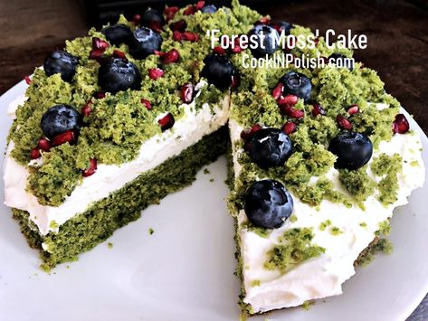 Forest Moss Spinach Cake - CookINPolish - Traditional Recipes Picnic Cake Ideas, Pagan Recipes, Forest Theme Cakes, Moss Cake, Woodland Cakes, Spinach Cake, Polish Food Recipes, Healthy Sweet Recipes, Veggie Cakes