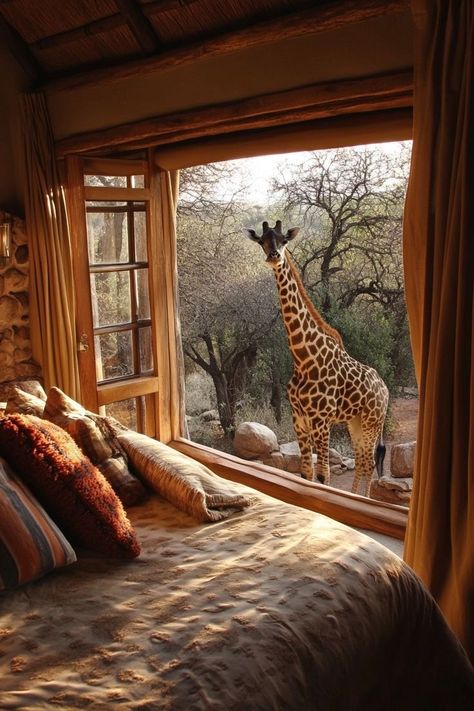 Africa Luxury Resort, Africa Safari Aesthetic, South Africa Safari Lodge, Africa Safari Travel, Africa Savannah, Africa Safari Lodge, African Lodge, Lodges South Africa, African Safari Lodge