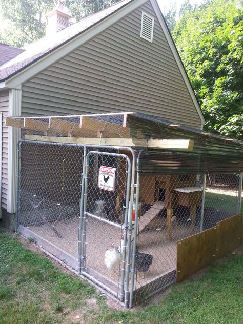 chain link dog run roofing ideas and suggestions | BackYard Chickens - Learn How to Raise Chickens Diy Dog Pen, Dog Kennel Roof, Diy Dog Run, Portable Dog Kennels, Building A Dog Kennel, Portable Chicken Coop, Dog Run, Diy Dog Kennel, Best Chicken Coop