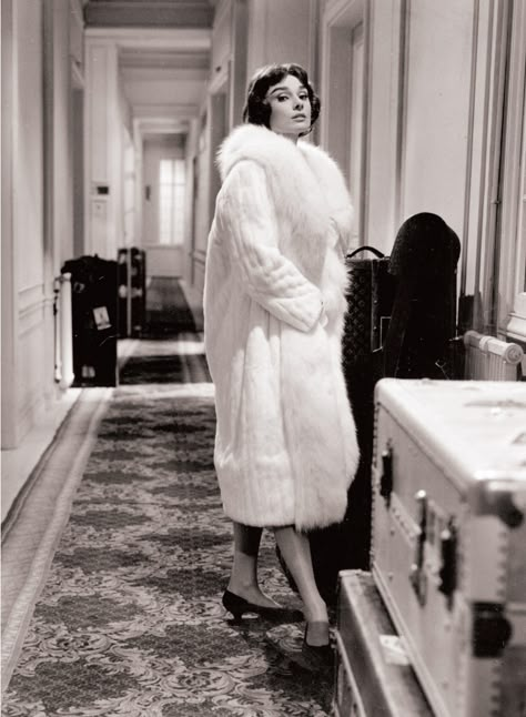 Love in the Afternoon, 1957. - The Cut Love In The Afternoon, Audrey Hepburn, Givenchy, Fur Coat, A Woman