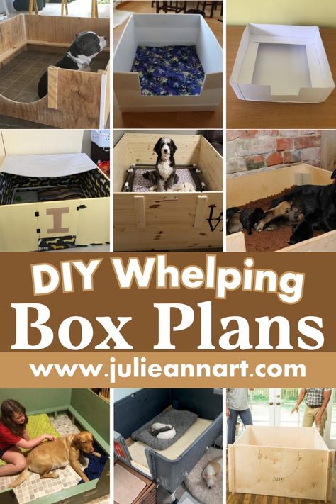 The DIY Whelping Box Plans are your guide or blueprint to building a safe and comfortable area where a mother dog can give birth and care for her puppies. These plans show you how to construct the box using cost-effective and readily available materials, ensuring the box is durable and well-suited for the mother dog’s needs. Dog Birthing Box Diy, Welping Box, Dog Whelping Box, Puppy Box, Dog Birth, Whelping Box, Pregnant Dog, Dog Area, Give Birth