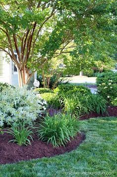 Patio Pergola, Front Yard Design, Pergola Design, Front Landscaping, Garden Shrubs, Landscape Garden, Design Landscape, Front Yard Garden, Landscaping Tips