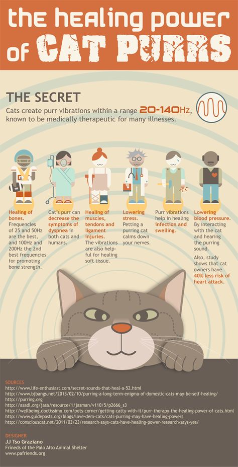 Cats create purr vibrations within a range 20-140Hz, known to be medically therapeutic for many illnesses. Cat Purr, Cat Info, Cat Hacks, Cat Care Tips, Cat Behavior, Cat Facts, Healing Power, Cat Health, Cute Kittens