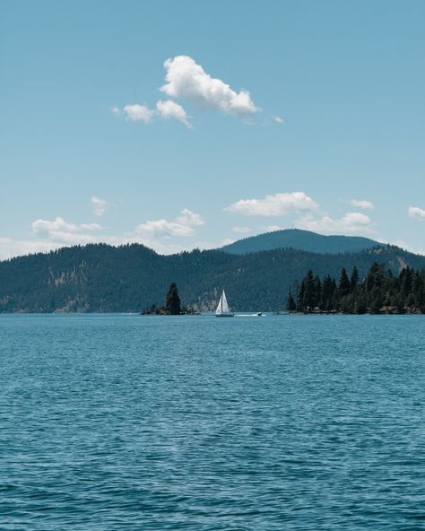 summer lovin ⛵️🌲🍒 • • • #summer #montana #mt #montanasummer #summertime #flatheadlake #lake #summeratthelake #lakeside Montana Lakes, June Lake, Flathead Lake, Summer Lovin, Montana, Growing Up, Art Inspo, Lake, Quick Saves