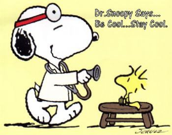 The Dr. is in Charlie Brown Snoopy, Snoopy Images, Peanuts Cartoon, Peanuts Characters, Snoopy Wallpaper, Snoopy Quotes, Snoopy Pictures, Snoop Dog, Joe Cool