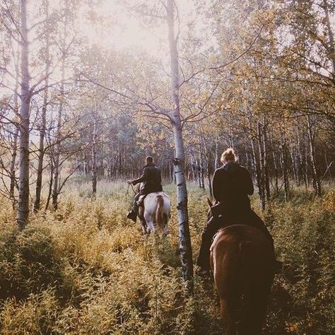 An afternoon horseback ride is a sweet past time. Vintage Foto's, Skai Jackson, Wild At Heart, Into The Wild, Trail Riding, To Infinity And Beyond, 인물 사진, Horse Girl, Narnia