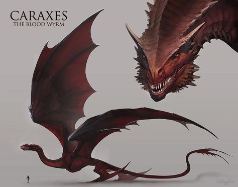 Fantasy Wyvern Concept Art, Daenerys Dragons Art, Game Of Thrones Dragon Art, Caraxes Dragon, Wyvern Art, Wyvern Dragon, Drogon Game Of Thrones, Game Of Thrones Artwork, Game Of Thrones Dragons