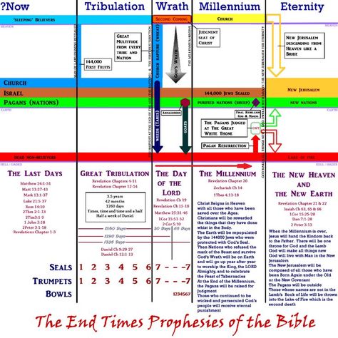 Very easy to read end times charts Seven Trumpets, Revelation Study, Bible Overview, Revelation Bible Study, Bible Charts, Revelation Bible, End Times Prophecy, Bible Mapping, Bible Study Help