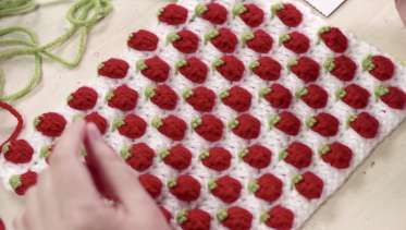 Crochet the Strawberry Stitch: 1/16/20 by CBTV Live - Creativebug Crochet Strawberry Stitch, Strawberry Stitch, Twinkie Chan, Mattress Stitch, Crochet Patterns Free Beginner, Half Double Crochet Stitch, Crochet Strawberry, Double Crochet Stitch, Crochet Instructions