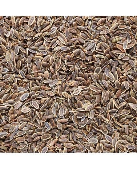 Dill Seed Suppliers best quality in India #Shri_Hari_Industries Contact :- shriharimtc@yahoo.co.in Whatsapp :- +91-9413384758 Click here for more Product: https://www.krishnaindia.in/dill-seeds-suppliers.html #Dillseed #DillSEEDOil #Dillseedsfood🌸 #shrihariindustries #shrihariindustriesseed #dillSeeds #askformask #indiacoronafight #seed Sesame Seeds, Seed Oil, How To Dry Basil, Basil, Click Here, Seeds, Herbs, India