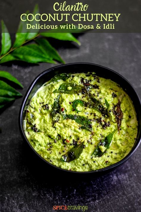 Coconut Chutney South Indian, South Indian Chutney Recipes, Indian Entree, Coconut Chutney Recipe, Tibetan Food, Indian Chutney Recipes, Coriander Chutney, Indian Chutney, Cilantro Chutney