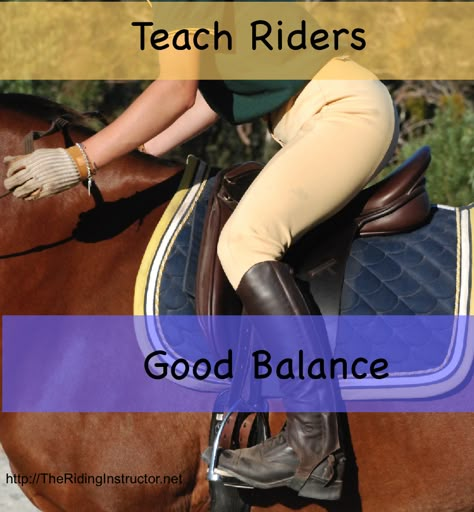 Beginner Horse Riding Lesson Plan, Horse Schooling, White Horse Riding, Riding Lesson Ideas, Riding Lesson Plans, Riding Instructor, Horse Riding Videos, Grulla Horse, Horse Training Exercises