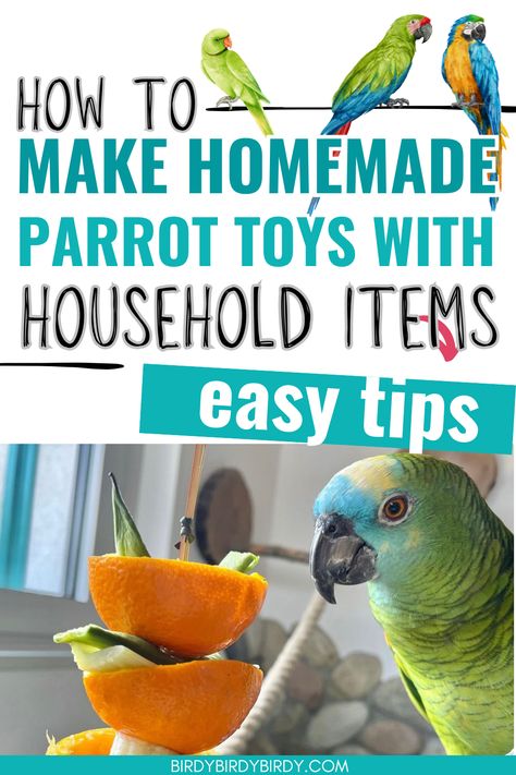 How to Make Homemade Parrot Toys Out of Household Items Conure Toys, Cockatiel Care, Homemade Bird Toys, Diy Parrot, Diy Parrot Toys, Parakeet Care, Budgies Parrot, Conure Bird, Parakeet Toys