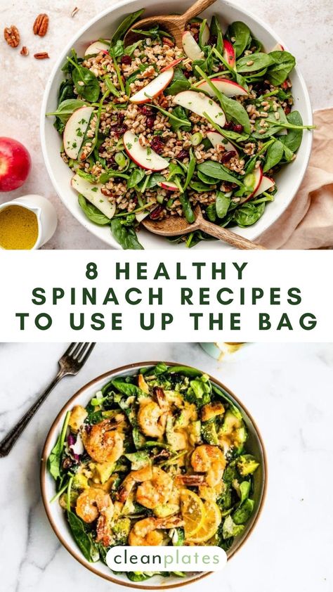 8 Healthy Spinach Recipes That Use Up the Whole Bag Healthy Recipe With Spinach, Spinach Bowl Recipes, Spinach Based Meals, Healthy Recipes With Spinach, Spinach Lunch Ideas, Meals With Spinach, Spinach Recipes Dinner, Spinach Meal Prep, Recipes Using Spinach