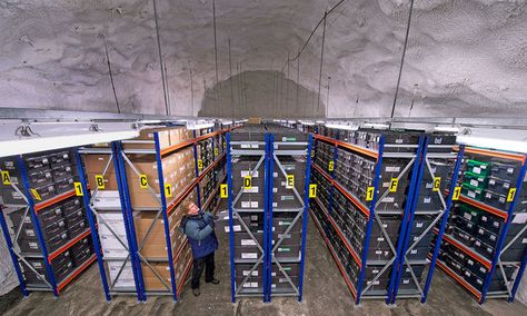 Seed bank  The Svalbard Global Seed Vault was officially opened on Feb. 26, 2008, and functions as a giant icebox of sorts for the world's important crop seeds. [Read more about the Svalbard Global Seed Vault] Svalbard Norway, Seed Vault, Longyearbyen, Polar Light, Seed Bank, Rare Pictures, Plant Species, Vaulting, Archipelago