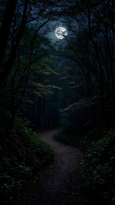 Moon And Forest Wallpaper, Long Exposure Photography Night, Arun Vijay, Night Sky Art, Dark Forest Aesthetic, Moonlight Photography, Amoled Wallpapers, Dark Landscape, Dark Nature