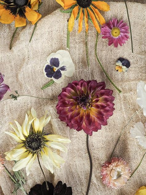 The Art of Drying Flowers - Top Tips | Botanical Tales Writer Desk, Flower Posies, Dried Sunflowers, Drying Flowers, Dried Flowers Diy, Flower Pressing, Desk Goals, Plant Projects, Dry Flowers