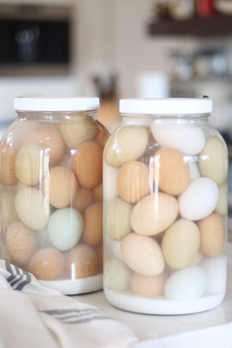 Glassing Eggs, Preserving Eggs, Homemade Laundry Detergent Liquid, Glass Eggs, Detergent Recipe, Lime Water, Pickling Salt, Sourdough Sandwich, Gallon Jars