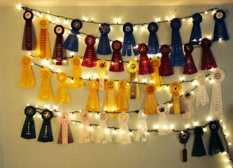 Too many show ribbons. Equestrian DIY Horseback Riding Ribbon Displays, Ideas Of Things To Do With Old Horse Show Ribbons, Horseshow Ribbon Display Ideas, Equestrian Rosette Display, Ribbon Hanging Ideas Horse, Horse Shoe Ribbon Display, Show Ribbons Ideas, What To Do With Horse Show Ribbons, Equestrian Ribbon Wall