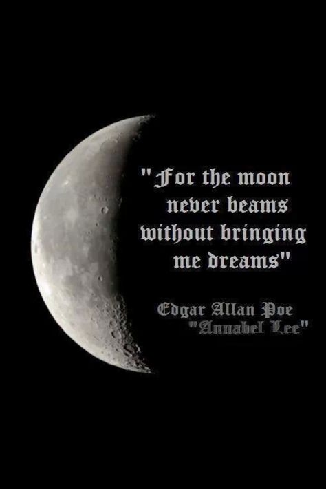 For the moon never beams without bringing me dreams - Edgar Allan Poe. Edgar Allen Poe Quotes, Poe Quotes, Annabel Lee, Moon Quotes, Behind Blue Eyes, Allen Poe, Edgar Allen Poe, Writers And Poets, Edgar Allan