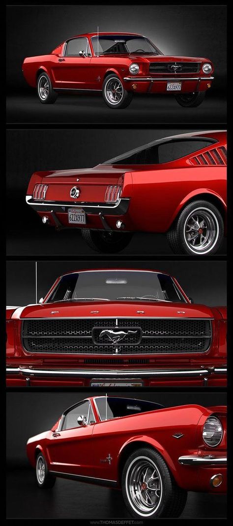 Mustang 65, Red Mustang, Muscle Cars Mustang, 1965 Ford Mustang, 1965 Mustang, Ford Mustang Fastback, Classic Mustang, Mustang Fastback, Ford Mustang Shelby