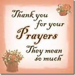 Thank You Quotes For Support, Thank You Card Sayings, Thank You Messages Gratitude, Stay Private, Sending Prayers, Giving Thanks To God, Asking For Prayers, Good Morning Greeting Cards, Thank You Images