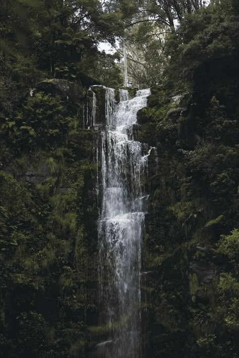 Dark Naturalism, Dark Forest Aesthetic, Forest Waterfall, Forest Aesthetic, Image Nature, Take Better Photos, Beautiful Waterfalls, Perfect World, Dark Forest