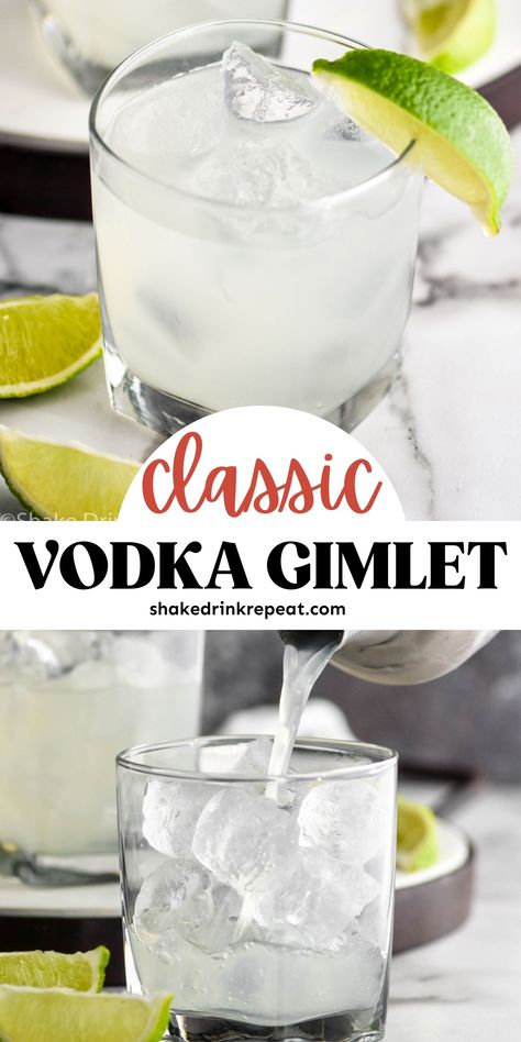 Vodka Gimlet With Roses Lime Juice, Three Ingredient Cocktails, Non Sweet Cocktails, Vodka Gimlet Recipe, Drinks With Vodka, Dear Alcohol, Patio Drinks, Cocktails Made With Vodka, Vodka Gimlet