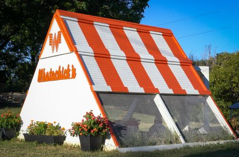 This Whataburger-Themed Chicken Coop is the Most Texas Thing We've Ever Seen Kfc Chicken Coop, Blue Bell Ice Cream, Out In The Country, Only In Texas, Backyard Chicken Coop Plans, Kfc Chicken, Jeff Goldblum, Chicken Fried Steak, Chicken Lady