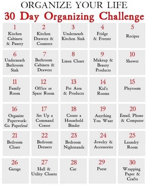 Organization Challenge, Cleaning Painted Walls, Organizing Challenges, Diy Organizer, 30 Day Challenges, Organizational Ideas, House Cleaning Checklist, Deep Cleaning Tips, Organize My Life