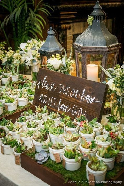 Guest Favors, Succulent Favors, Rustic Wedding Decorations, Wedding Favors Cheap, Succulent Wedding, Unique Wedding Favors, Wedding Favors For Guests, Wedding Gift Favors, Wedding Cake Designs