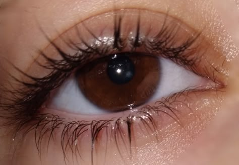 Brown Eye, Dark Brown Eyes, Brown Eyes, Dark Brown, Lashes