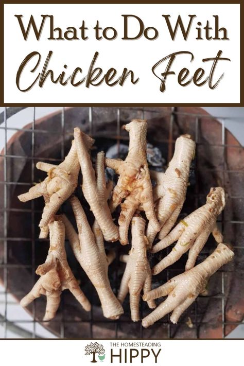 How to use chicken feet to make nourishing bone broth. Such a rich and delicious, gut healing broth can be made from chicken feet. #chickens #chickenfeet #kitchen #recipe Chicken Feet Bone Broth Instant Pot, Gut Healing Broth, Chicken Feet Witchcraft, Chicken Feet Bone Broth, Raw Chicken Feet For Dogs, Healing Broth, How To Make Broth From Chicken Bones, Chicken Rub Recipes, Dehydrated Chicken