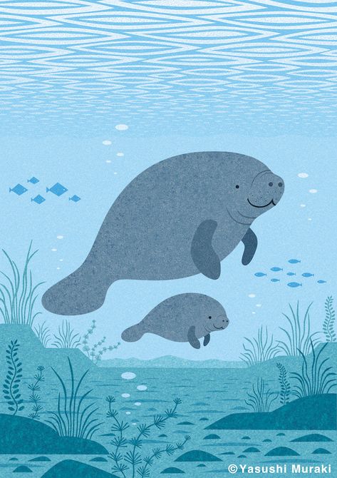 Manatee Wallpaper Aesthetic, Simple Manatee Drawing, Manatee Background, Manatee Wallpaper Iphone, Manatee Doodle, Dugong Illustration, Dugong Drawing, Manatee Aesthetic, Manatee Wallpaper