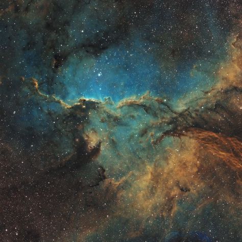 NGC 6188, aka The Fighting Dragons of Ara, is an emission nebula in the constellation Ara about 4,000 lightyears away. It can be seen in the Southern Hemisphere sky. Approximately 600 lightyears across, NGC 6188 is an active star-forming region where the newborn stars carve up the Fighting Dragons out of the dark cosmic dust, and cause surrounding gas to glow by blasting it with streams of charged particles known as stellar winds. Full Blue Moon, Cosmic Dust, Do I Wanna Know, Out Of The Dark, Science Resources, Once In A Lifetime, Fun Science, Blue Moon, Constellations