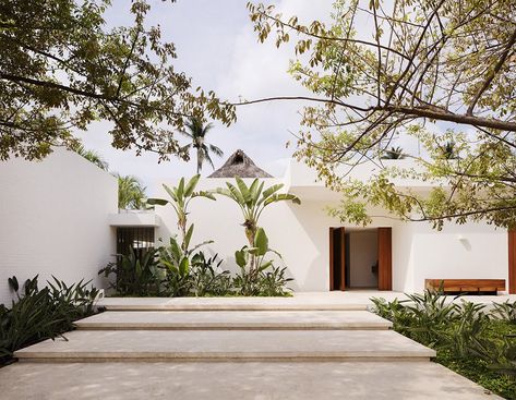 Outdoor, Shrubs, Front Yard, Hanging Lighting, Walkways, Trees, Concrete Patio, Porch, Deck, and Large Patio, Porch, Deck The brick walls of Casa TM were covered in white stucco, a minimalist choice that sets the stage for the pared-back interiors. Mexican Modern House, Mexican Courtyard, Exterior Wall Lights, Modern Mexican Home, Casa Cook, Mexico House, Minimal Architecture, Courtyard Design, Modern Mexican