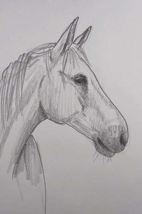 Horse Easy Drawing, Easy Horse Drawing, Draw A Horse, Horse Art Drawing, Horse Sketch, Drawing Lesson, Cute Sketches, Cool Pencil Drawings, Meaningful Drawings